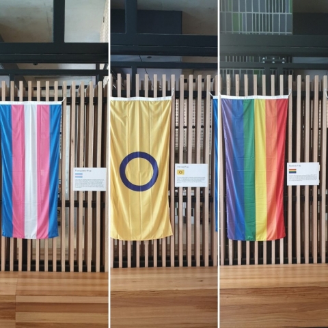 Transgender flag, intersex flag and rainbow flag.